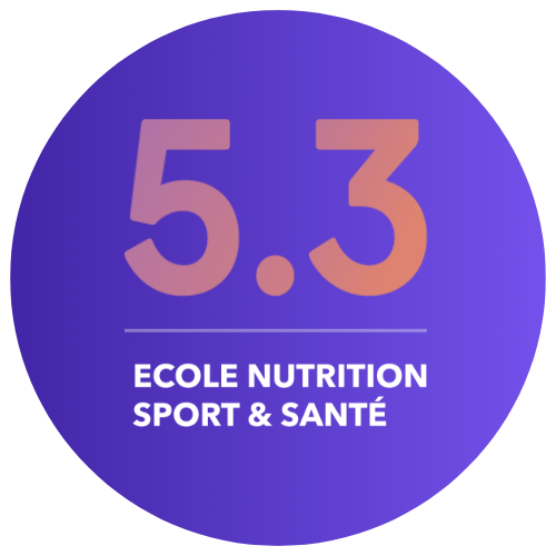 Ecole53