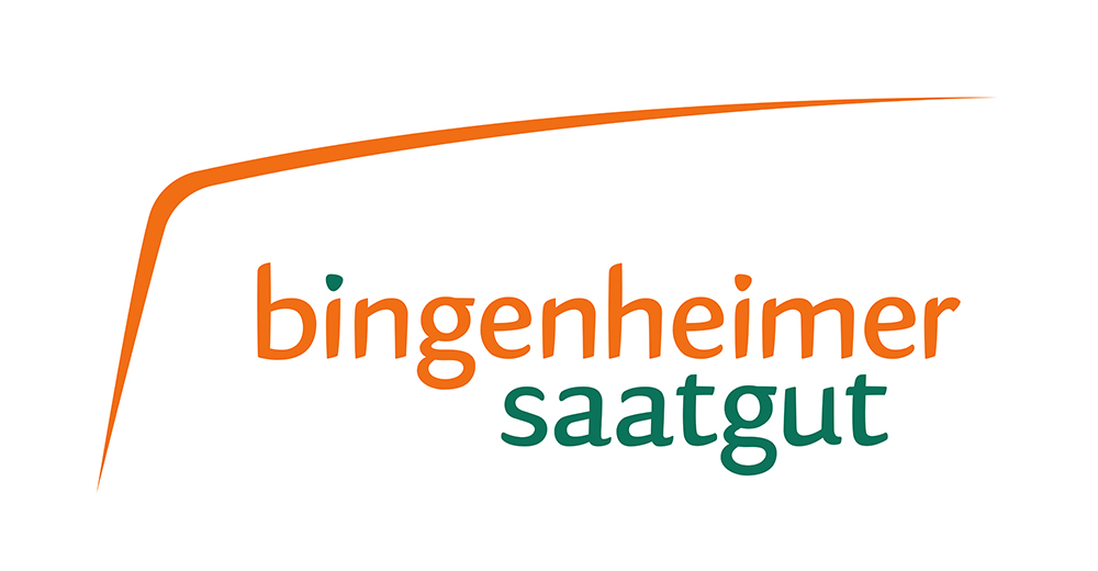 bienenweide saatgut test Bienenweide Saatgut, nektarreiche bienenfreundliche (Wild)Blumen, 100g –  beegut