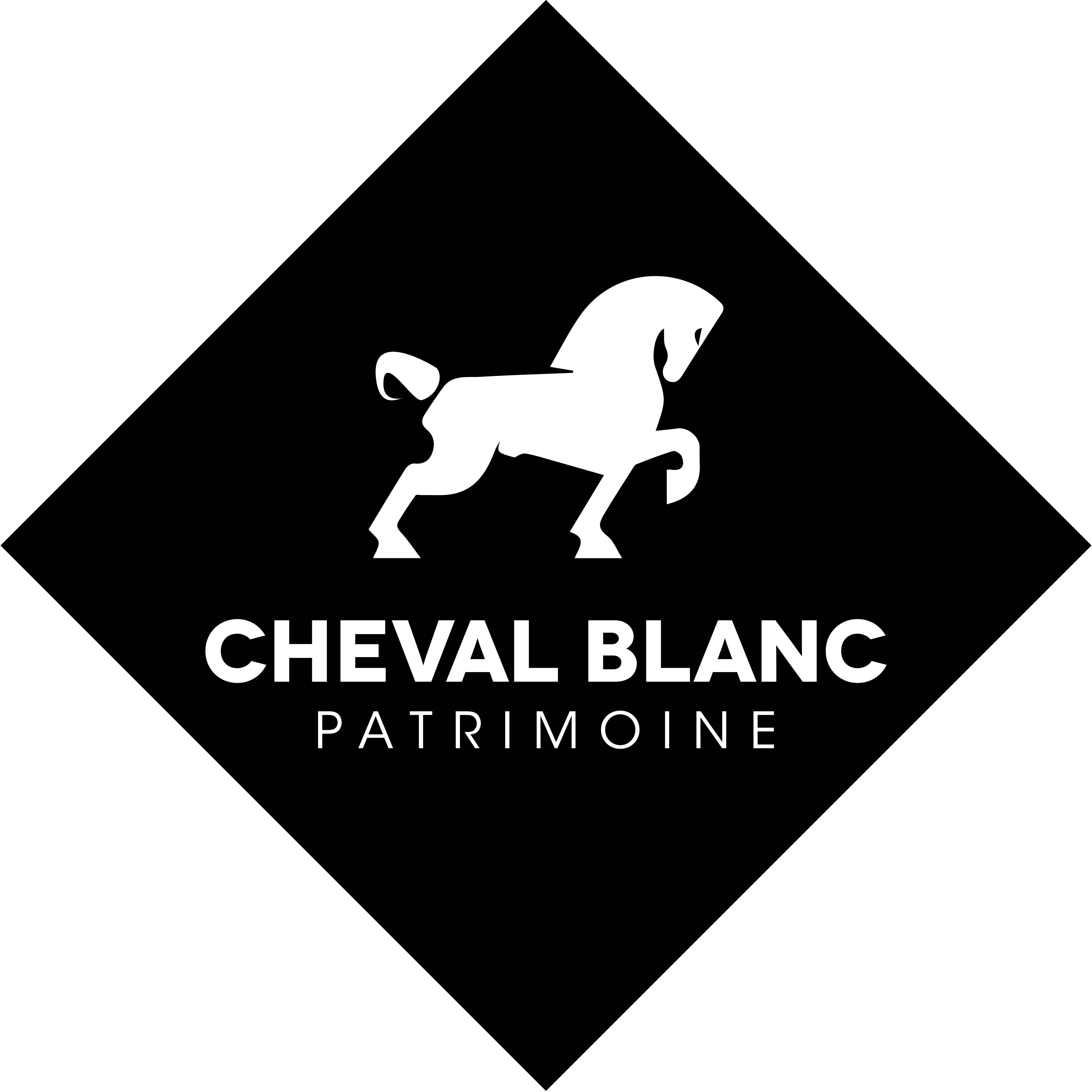 CHEVAL BLANC PATRIMOINE