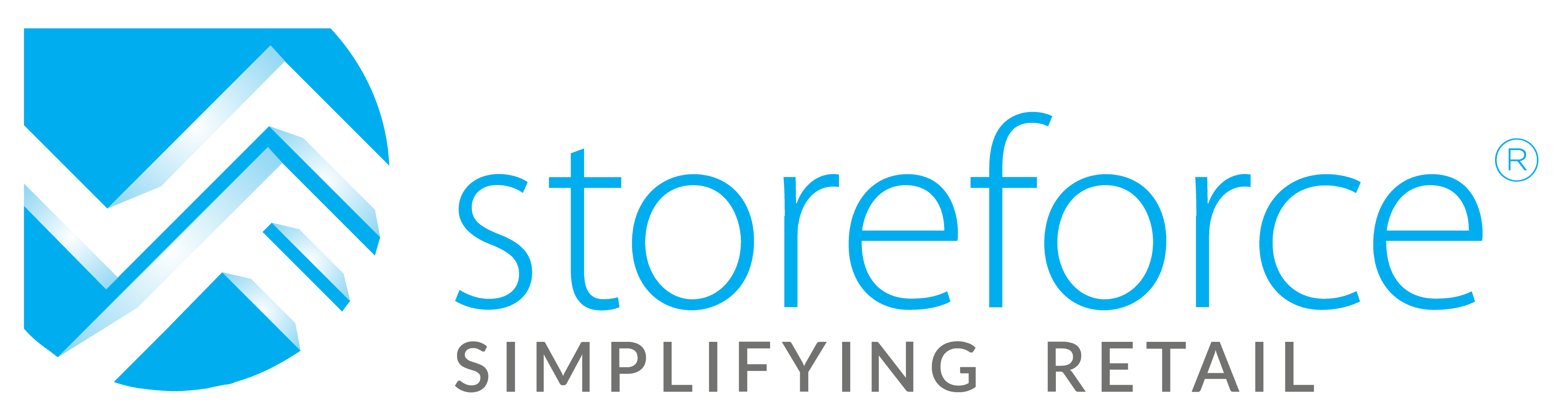 storeforcesolutions.com