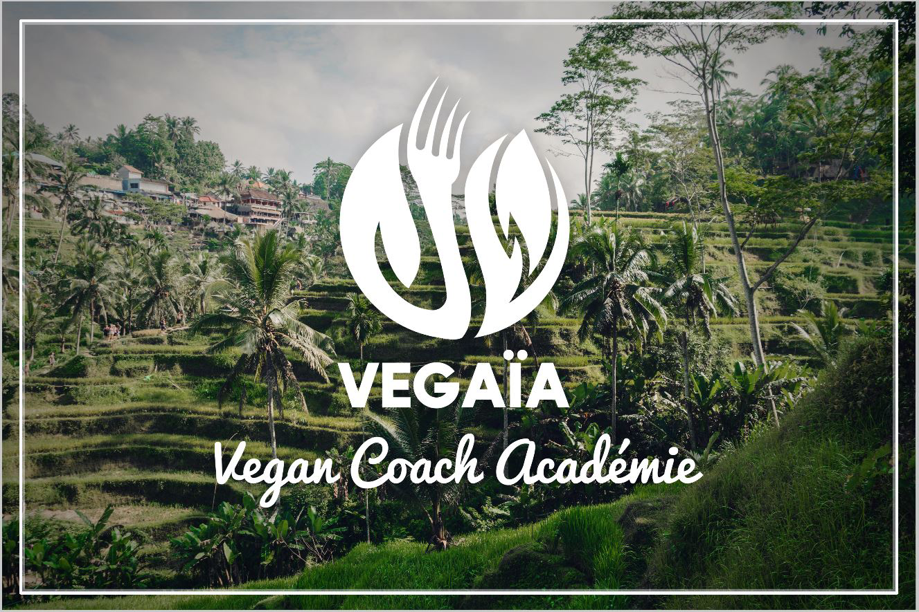 Vega&iuml;a Academie