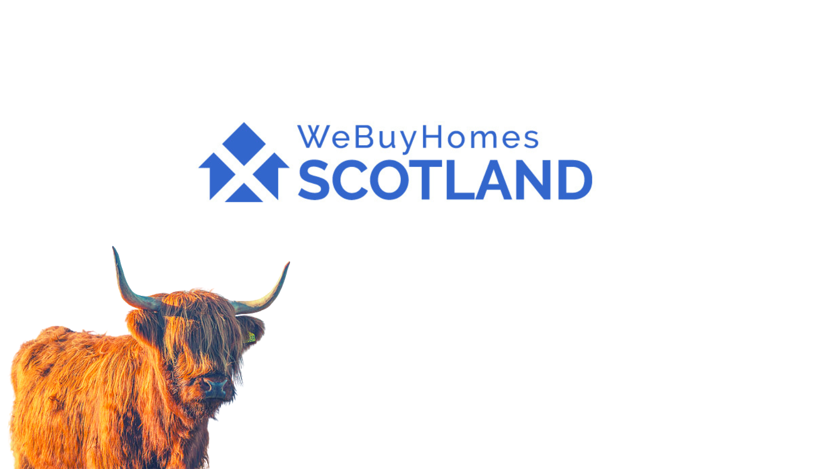 Webuyhomesscotland