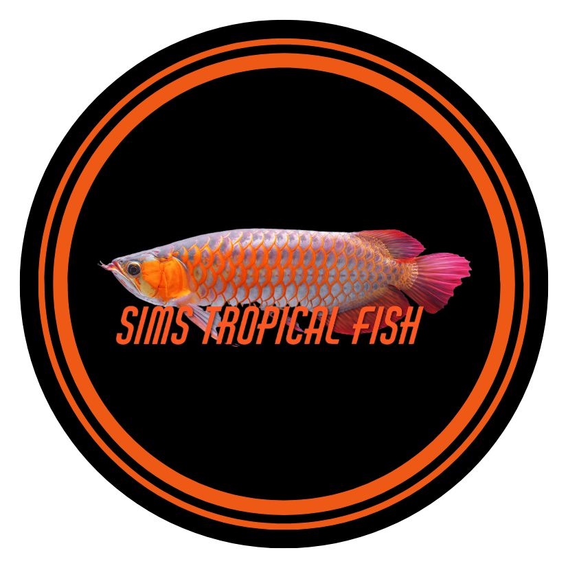 Sims Tropical Fish Ltd