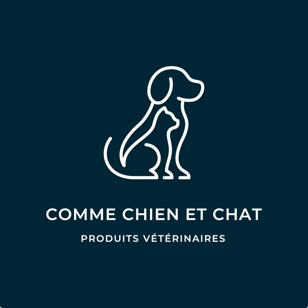 Commechienet Chat