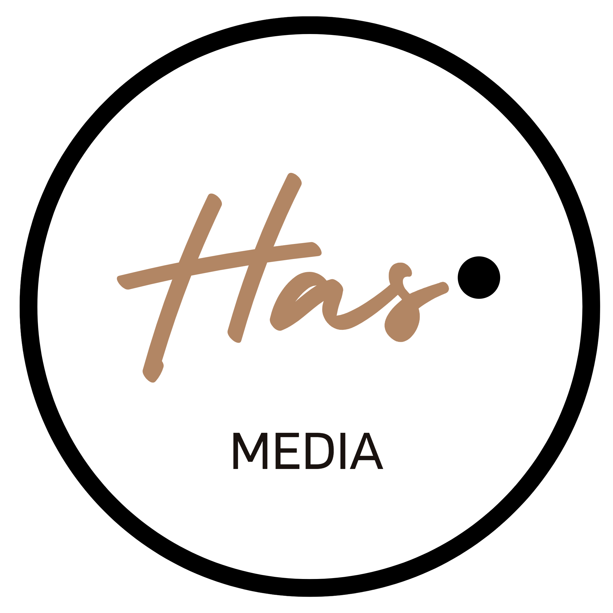 Hasmediaservices