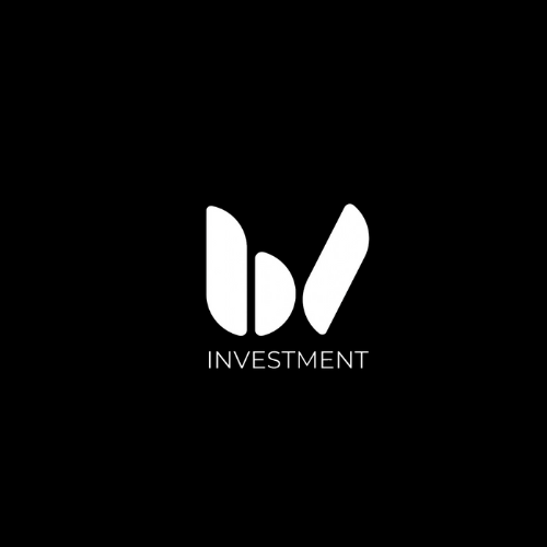 Bv Investment