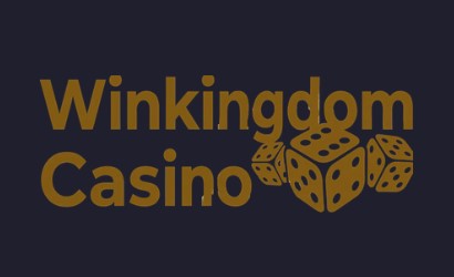 Winkingdom casino