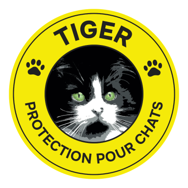 Protection Pour Chats