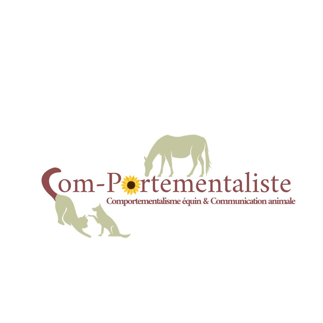 Marioncomportementaliste