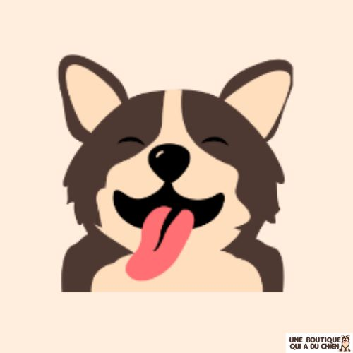 Uneboutiquequiaduchien