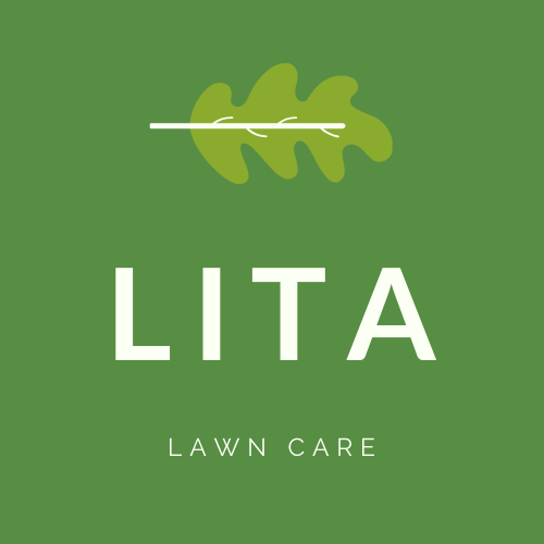 Air Plant Supply Co. Reviews | Read Customer Service Reviews of  airplantsupplyco.com