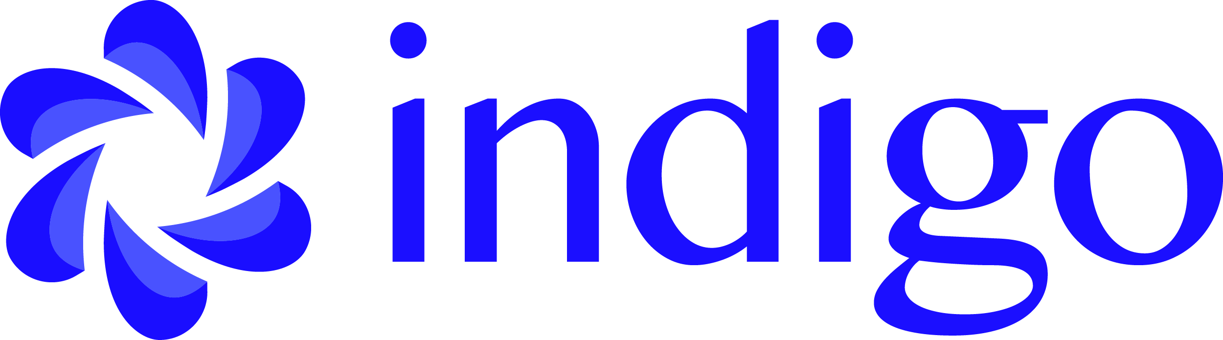 Indigo Technologies
