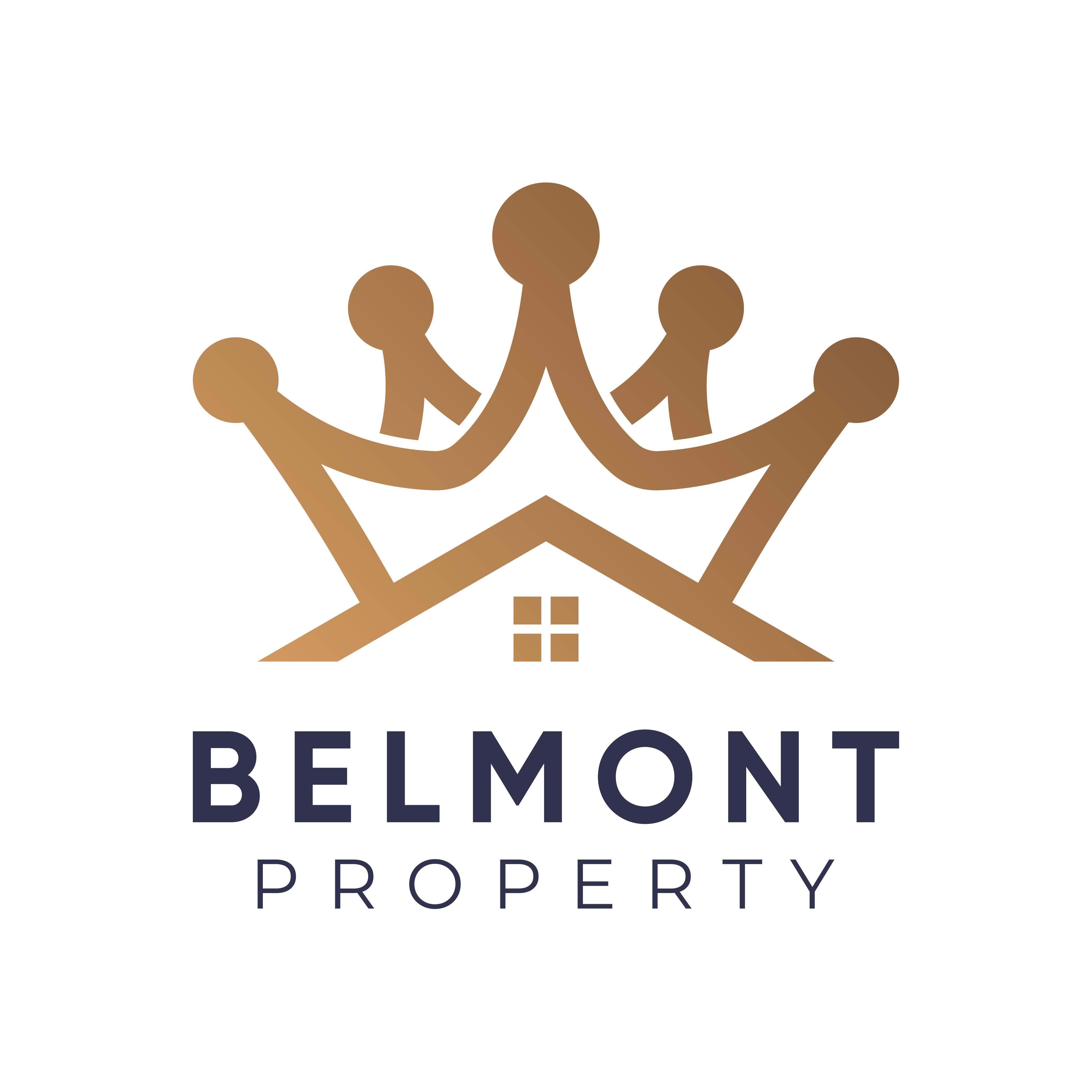 Belmont Property