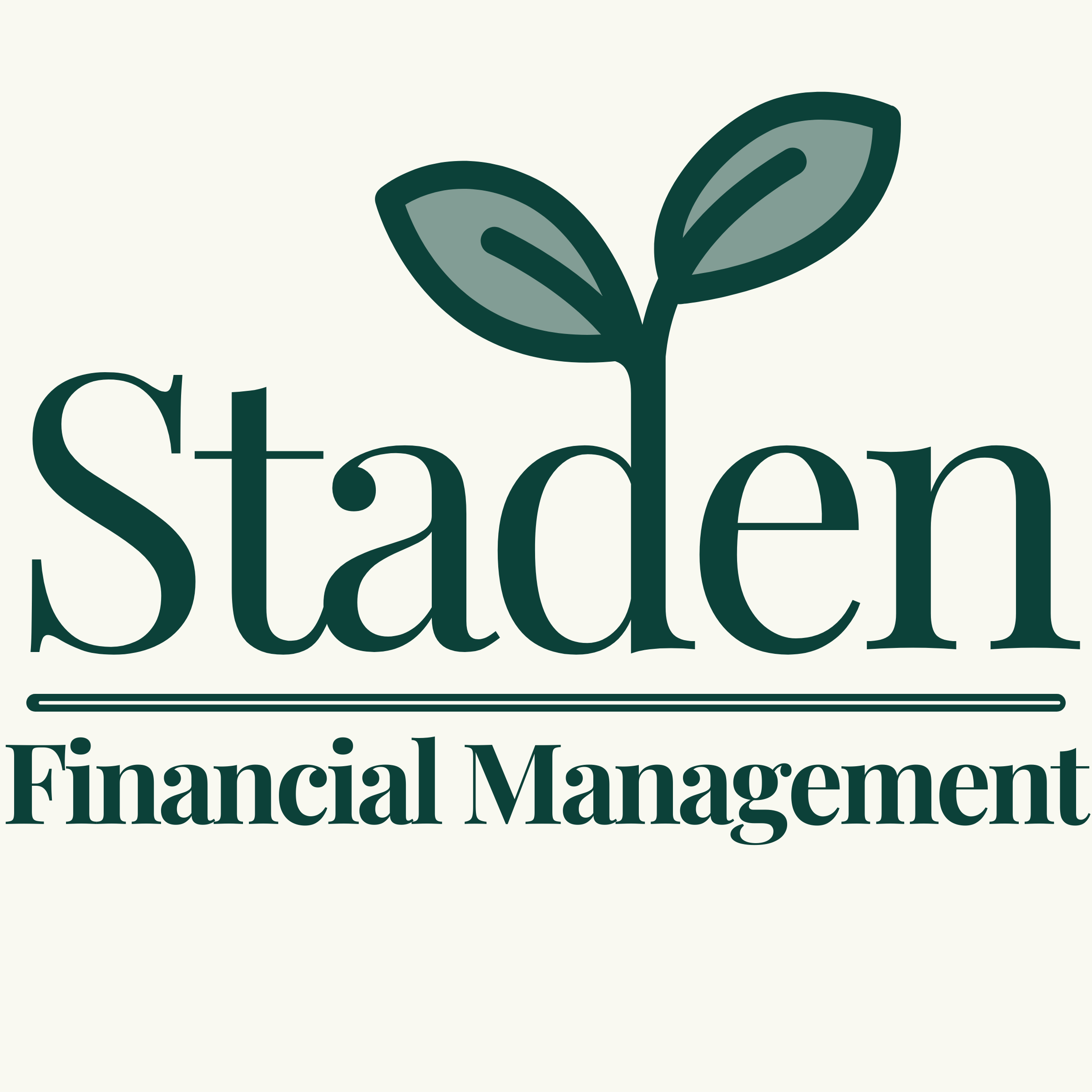Staden Financial Management