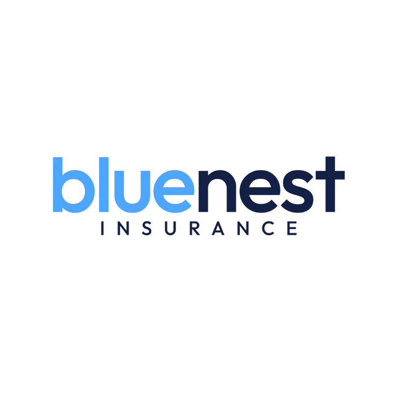 Blue and dark navy BlueNest Insurance wordmark with a clean modern type treatment