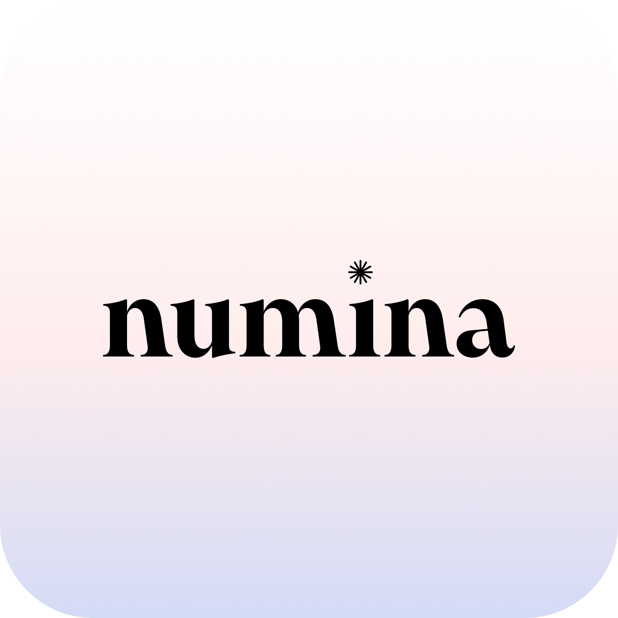 Numina Regnskab