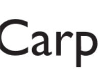 Carpetvista Logo