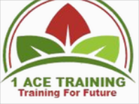 1 Ace Security Ltd