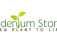 Adeniumstore