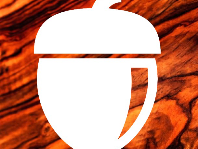 Acorn Audio