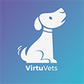 virtuvets.com