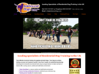 Adolescent Dogs Ltd