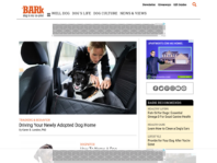 The Bark