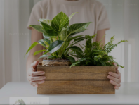 decoris garden planter fibreclay Fibre Planter Pot with Wooden Stand