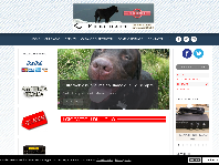 carlobianconi.com