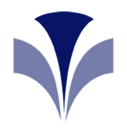 Tailored Debt Advice