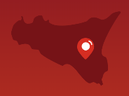 One of the secrets of our blood oranges is the origin.