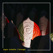 Un riconoscimento che celebra la chiusura del 2024 come un anno di grande crescita!