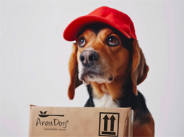 Spedizione in 24/48 ore e gratuita sopra i 50,00€