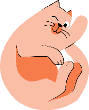 Alles voor jouw happy cat!