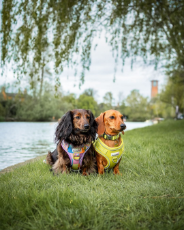 Free Shipping on all orders