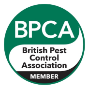 Professional, safe, and effective pest control with a 24-hour response guarantee.