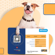 100% Versicherungsschutz innerhalb weniger Sekunden beantragt