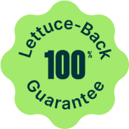 Our commitment to you