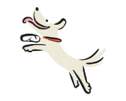 Bereken direct je premie