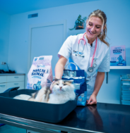 Hygiëne, comfort en inzicht  in één slimme kattenbakvulling.