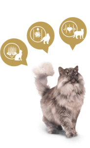 Over 15 years of pet nutrition expertise