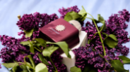 Authentic fragrances, careful hands, real support