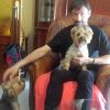 Javier Varela, Dog trainer in Lugo