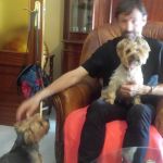 Javier Varela, Pet sitter in Lugo
