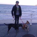 Pelayo Fernandez, Pet sitter in Gijón