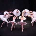 Laura Dalmau, Fotògrafa a Arenys de Munt