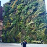 Yassine Yassine, Gardener in Barcelona