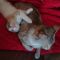 Siham Krissi Essbai, Pet sitter in Logroño