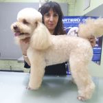 Sol Valencianos, Peluquera canina en Granada