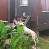 Javier Xofer Y Paula Cuidadora  Pareja, Pet sitter in Bigues i Riells